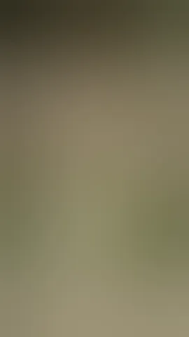 cute, bigass, latina, skinny, redhead, longhair, smalltits, hot