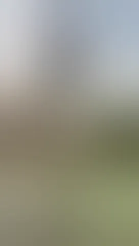 Watch this video!