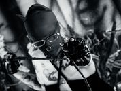 AmySpider