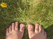 LottieRoseX