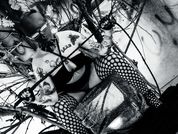 AmySpider