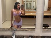 Amylewiss