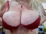 Shellyfox