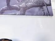 ThickLucia