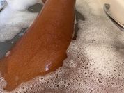 Bronze_goddess
