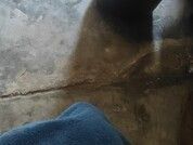 Josecamsex27