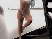 briannasteinn