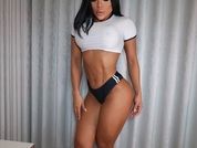 Amylewiss