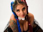 briannasteinn