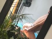 Bastien_Volkov