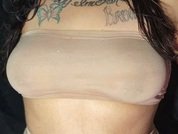 LaPutotota