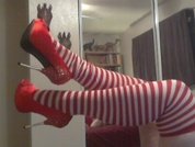 Shellyfox