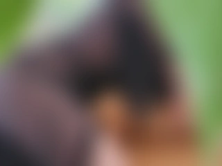 HarmonyBrookes profile