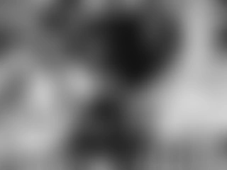 Intoxicatingera profile