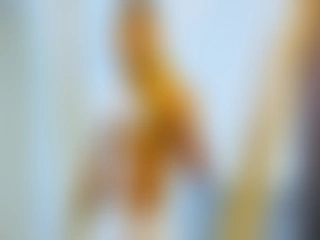 MaicolParker444 profile