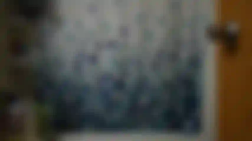 Mitbewohnerin, freude und klarheit.