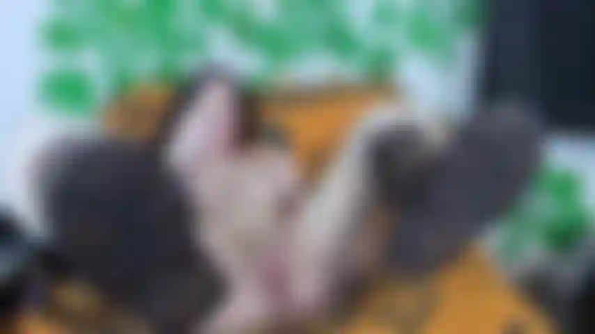 Masturbiere mit einem glasdildo in meinen ugg-stiefeln.