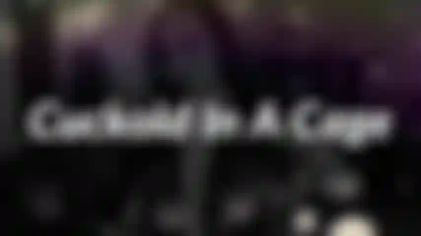 Cuckold in einem käfig - ich habe etwas für dich aufgesammelt, als ich unterwegs war. Etwas, von dem ich wirklich denke, dass es unserer beziehung helfen wird. Überraschung! Dein schwanz im käfig!