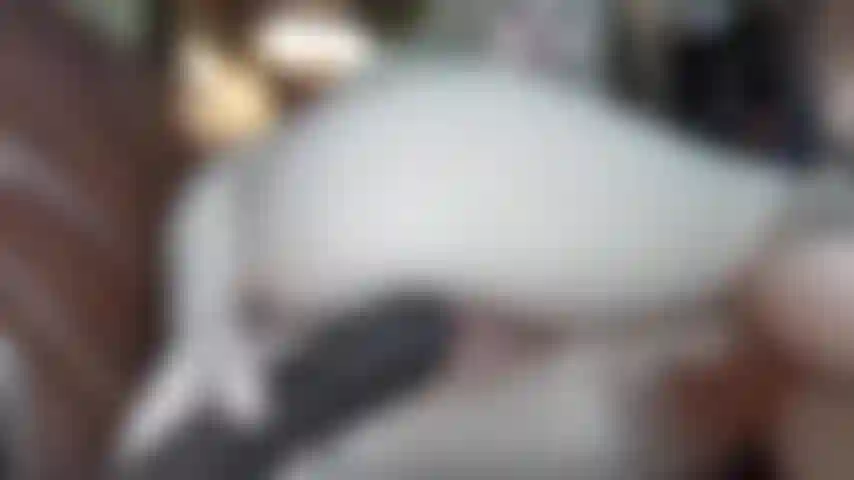 Monsterspielzeugfick (selten für mich), nimm den ganzen umfang.