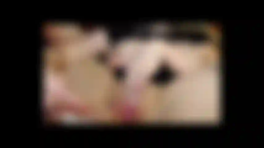 Sperma auf muschi geblasen clip aus längerem video.