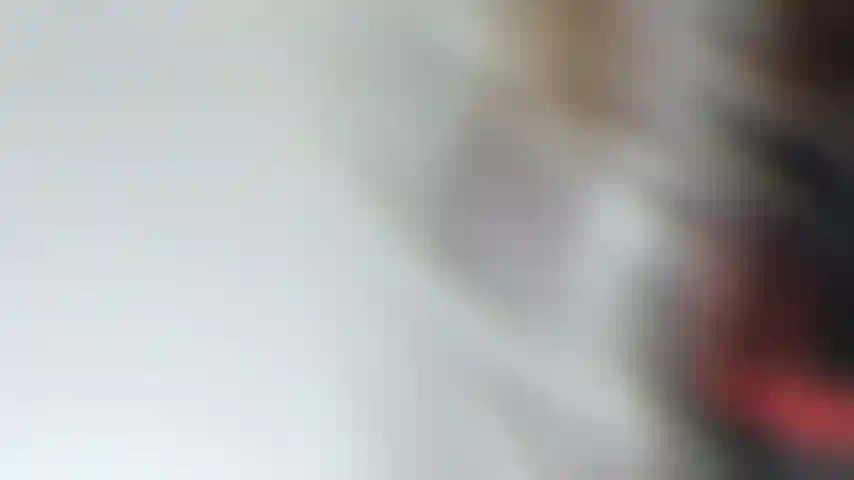 Ein wunderschönes sexy mädchen.