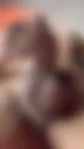 Bereite meinen harten schwanz für dich vor.