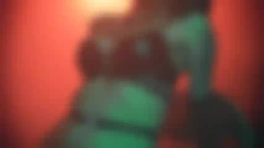 Lederunterwäsche und eine sexy frau.