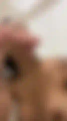 Liebe es, blowjobs zu geben.