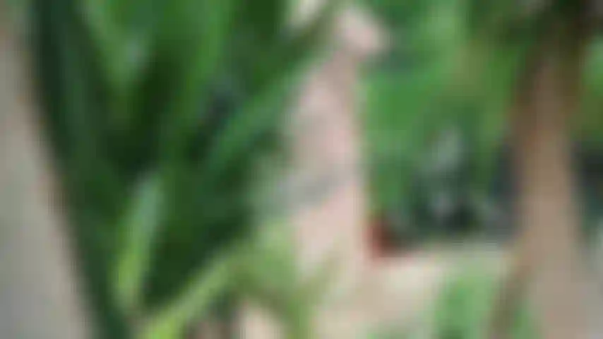 Sommer nach dem lockdown :).