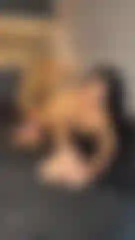 I'm here, wanting you