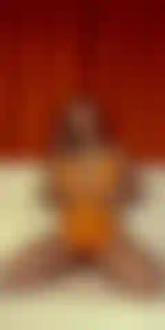 Anita darks superheißes tittenspiel.