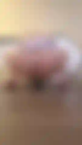 Ich reite auf meinem dildo und trage meinen virgin-killer-pullover. Meine muschi ist so eng, oh mein gott.