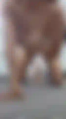 Ich werde mit mir selbst spielen, bis mein körper nicht mehr kann ... Gefällt dir diese ansicht zum spielstart?