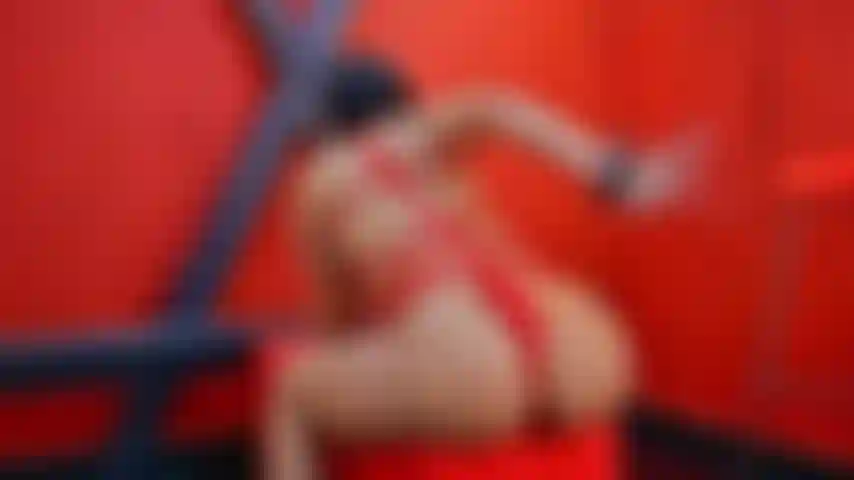 Die peitschen sind sehr erfolgreich.