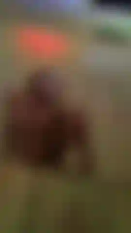 Would you let me ride your face baby ?