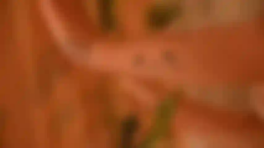 Lust und vergnügen.