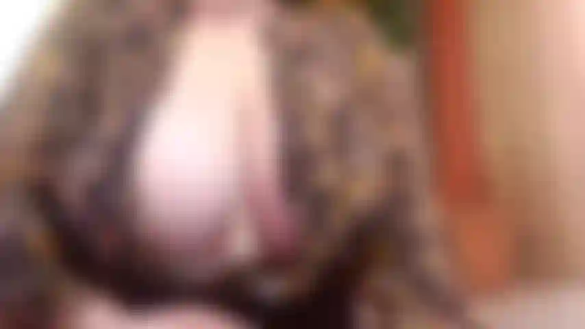 Umgekehrtes cowgirl und bj 4 „papa“ pov, der über deinen fetten schwanz sabbert und ihn dann in meine kleine muschi stopft und dabei zusieht, wie mein arsch hüpft, während ich alles nehme!