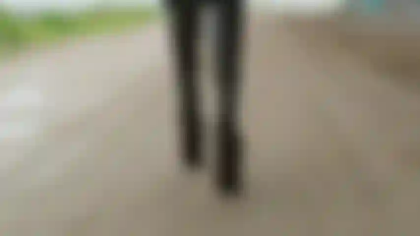 Möchtest du spazieren gehen?