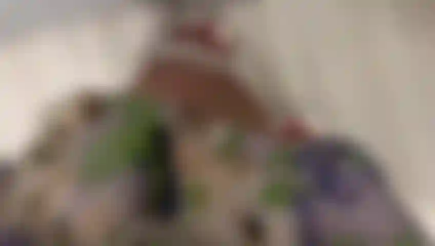 Bf305eb4-cdcf-4725-b3bc-632e52f65e98_-_copia.