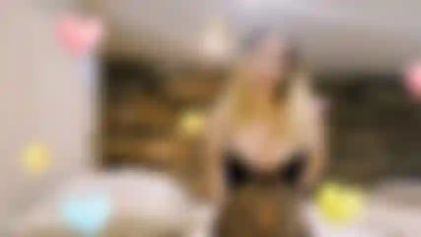 Bereit, von meinem alpha beschimpft zu werden.