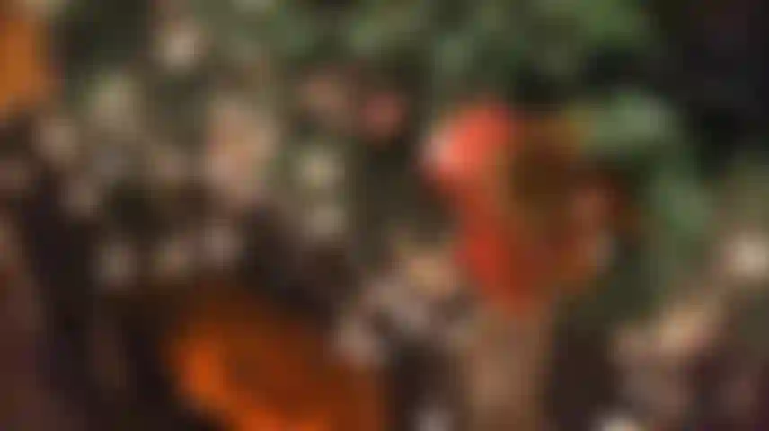 Ich habe die liste zweimal überprüft und festgestellt, dass sie definitiv ungezogen waren.