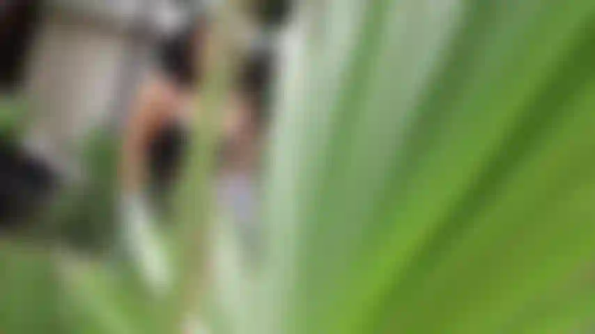 Der sommer ist der perfekte moment für einen gebräunten körper!