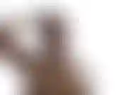 Sexy roter dessous-fensterstreifen