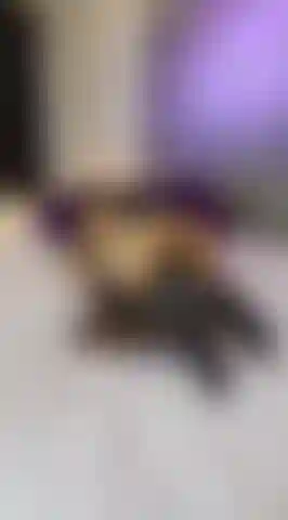 Die auf ihrem kissen reitet.