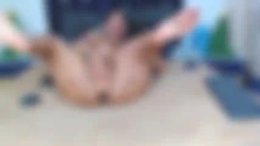 Ficke hart und schnell meine nasse muschi.