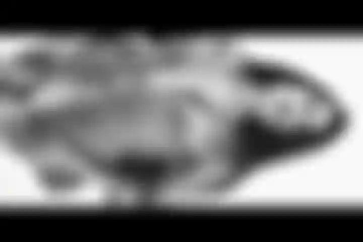 Briana ist immer für dich bereit.