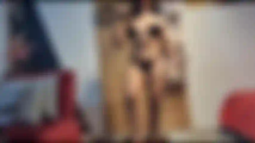 Workout More like strip-out - E