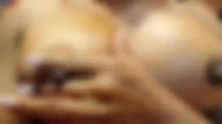 Big Breast Play Teasing and Pinching Fun - E