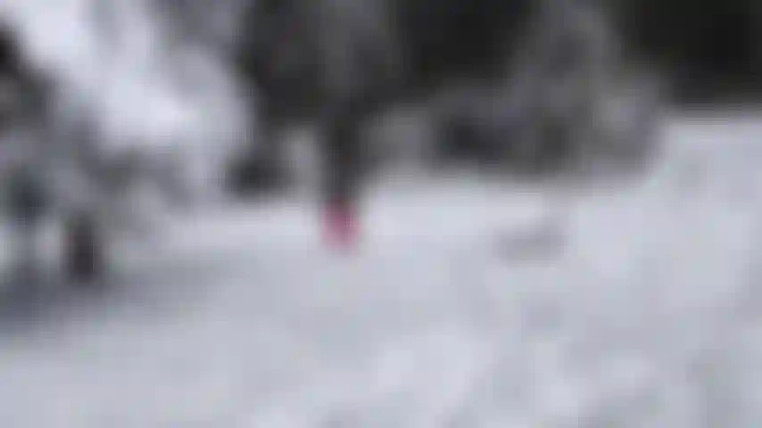 Meine lieblingslandschaft im winter.