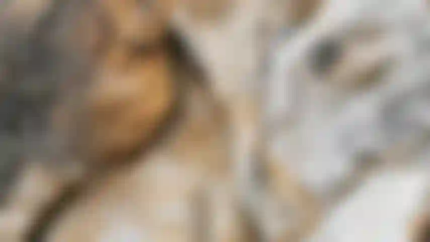 Die fotosession ist jetzt vorbei, ich gehe zum boot.